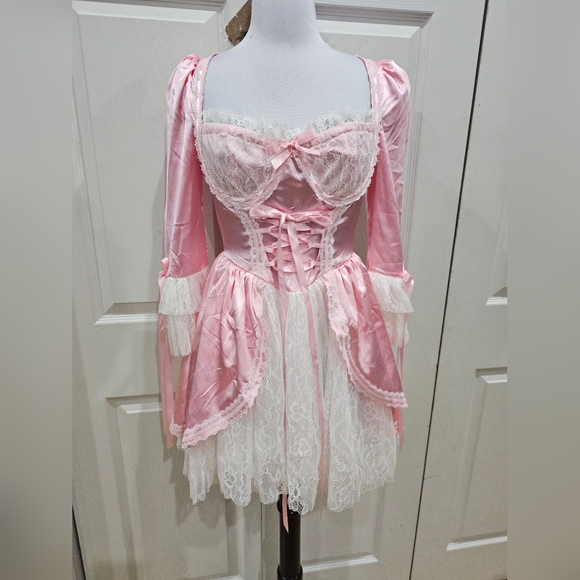 Dolls Kill Exclusive French Cake Queen Marie Antoinette Pink Lace Mini Dress S - Picture 8 of 11